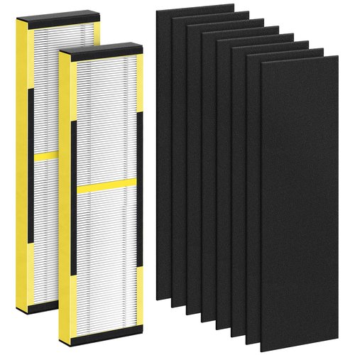 CHIVALZ FLT4825 Filter B Replacement for FLT4825 HEPA Replacement Filter, Compatible with Air Purifier AC4825 AC4300 AC4800 AC4900 AC4850, 2 Hepa Filters + 8 Carbon Filters, 2 Pack