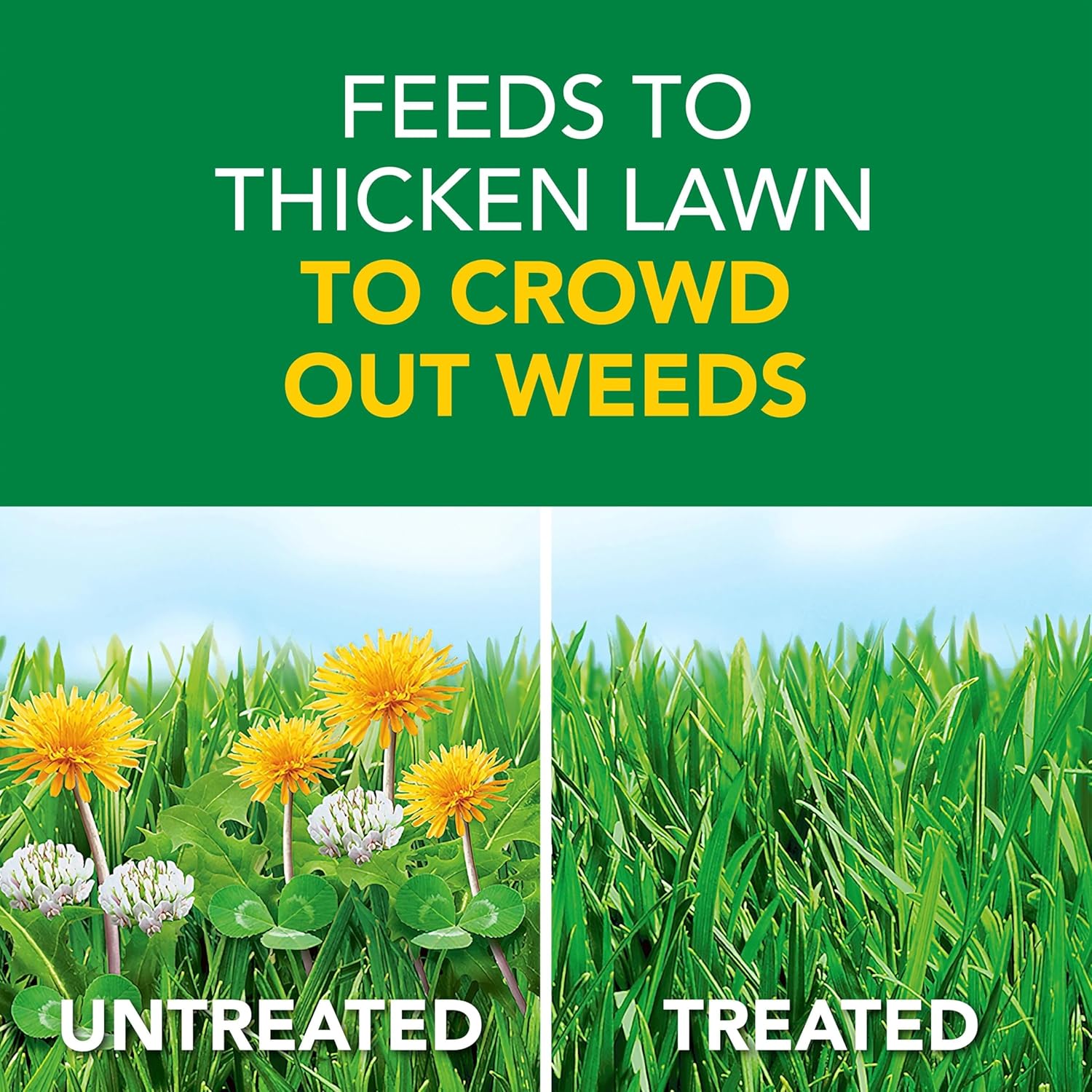 Scotts Turf Builder Weed and Feed - Effective Lawn Care Solution for 5,000 Sq. Ft.