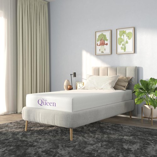 NapQueen Twin Size Mattress - 8 Inch Bamboo Charcoal Memory Foam Bed in a Box for Ultimate Comfort