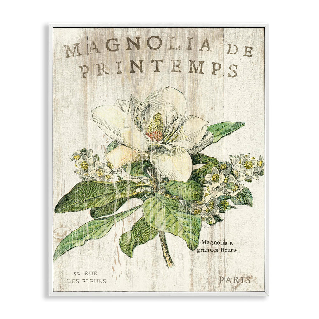 'French Magnolias In Spring'| Framed Giclee Art