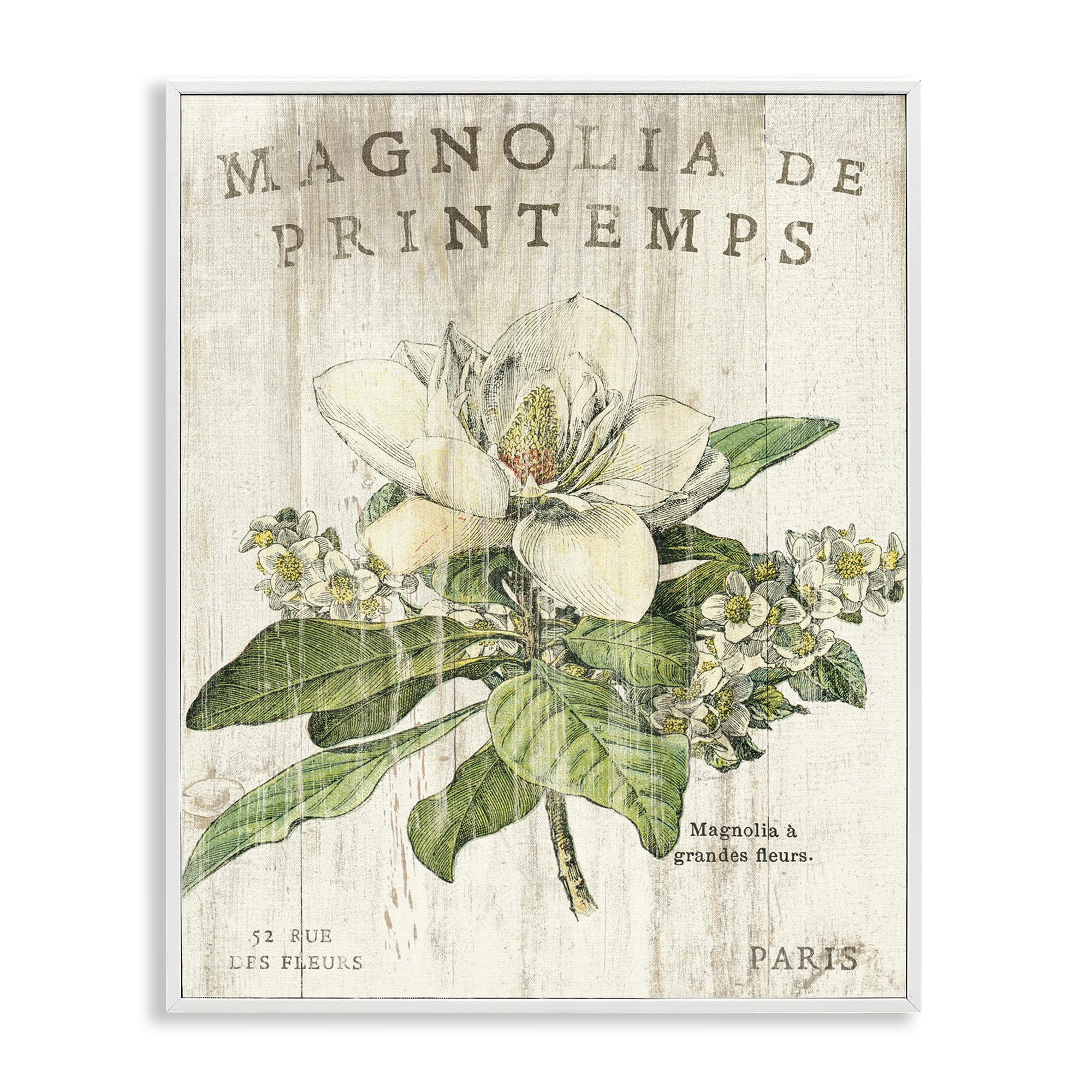 'French Magnolias In Spring'| Framed Giclee Art