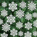 Skiennix 24PCS Snowflake Ornaments - Glittering White Plastic Tree Decorations for Winter Wonderland Decor