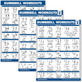 Palace Learning Dumbbell Workout Posters - Laminated Exercise Charts (18" x 24") | 3 Pack Volume 1, 2 & 3