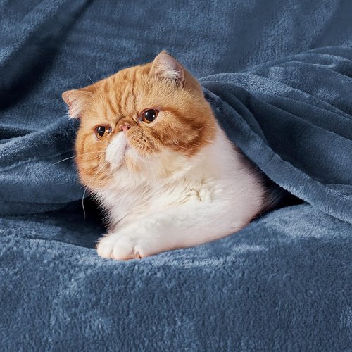 Bedsure GentleSoft Fleece Blanket - Cozy California King in Mineral Blue, 102x96 Inches