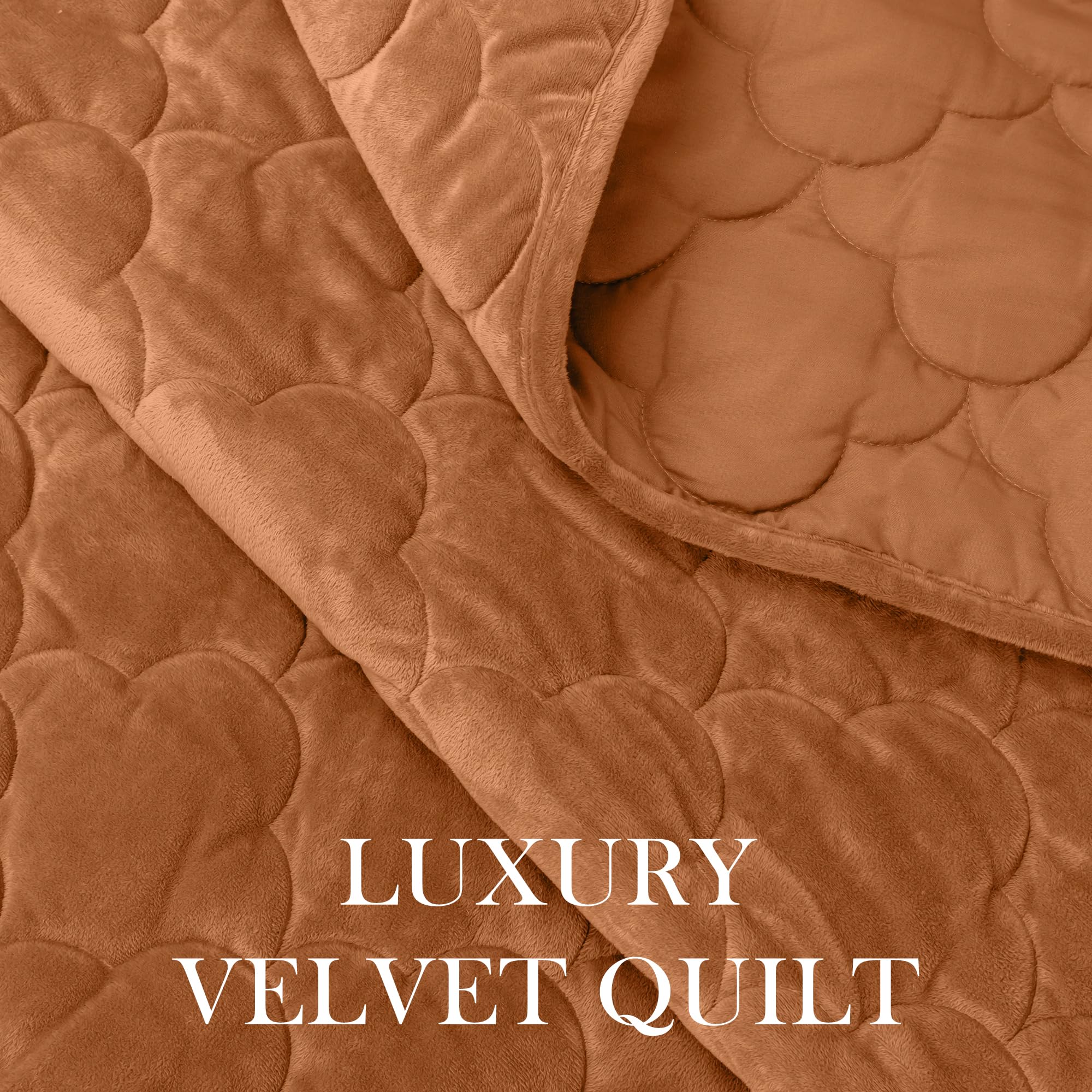 PlushHavenCloud Velvet Quilt Set Queen Size - Luxury Lightweight Velvet Bed Comforter & 2 Pillow Shams | Oversized Coverlet Bedspread 3 Piece | Oeko-TEX All Season Bedding Caramel