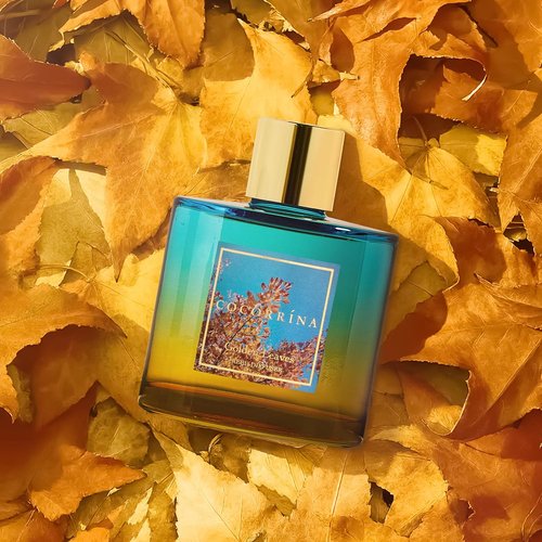 COCORRÍNA Reed Diffuser | Golden Leaves Set with 8 Sticks & Preserved Baby's Breath for Home Decor