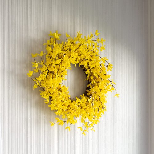 Yellow Forsythia Wreath - 24-Inch Artificial Spring Wreath for Home Decor - Wreaths for Indoors or Covered Patio Use Only by Pure Garden