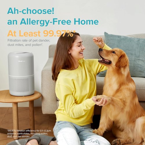 LEVOIT Air Purifier - HEPA Filter for Pets & Large Rooms | Efficient Odor & Dander Removal, Grey