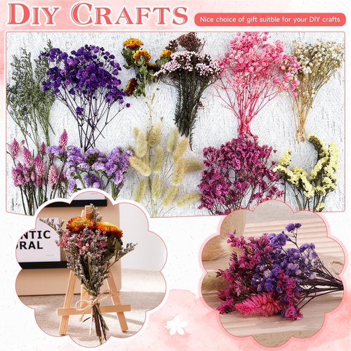 11 Kinds of Dried Flowers for Crafts Bulk DIY Natural Multi-color Wildflowers Dried Pampas Grass Lavender Forget Me Not Babys Breath with Stem Floral Arrangement Bouquets with Hemp Rope for Home Decor