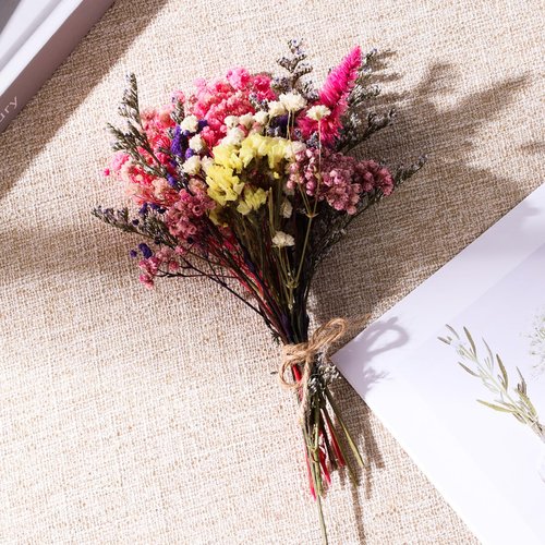 11 Kinds of Dried Flowers for Crafts Bulk DIY Natural Multi-color Wildflowers Dried Pampas Grass Lavender Forget Me Not Babys Breath with Stem Floral Arrangement Bouquets with Hemp Rope for Home Decor