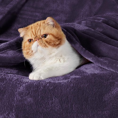 Bedsure GentleSoft Fleece Blanket - Lightweight Plush Twin Size Purple Blanket for Cozy Comfort 60x80 Inches