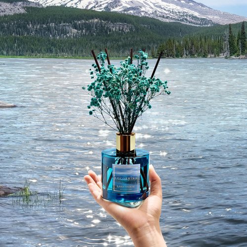 COCORRÍNA Reed Diffuser - Lake Tahoe 6.7 Fl. Oz Set with 8 Sticks & Preserved Baby's Breath | Elegant Home Decor
