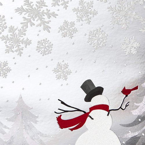 Hallmark Boxed Christmas Cards, Snowman and Cardinal (16 Cards and 17 Envelopes), (1XPX5437)