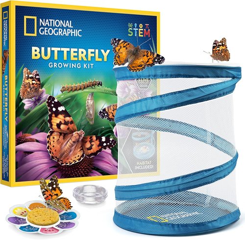 National Geographic Butterfly Growing Kit - Complete Habitat with 5 Caterpillars Voucher | Perfect Easter Gift for Kids