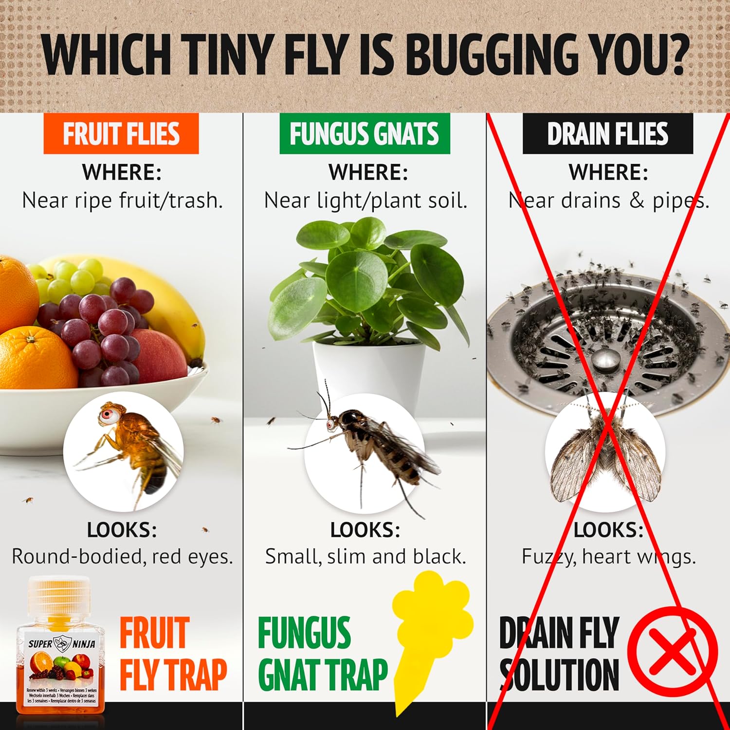 Super Ninja Fruit Fly Traps for Indoors - 4 Pack, Highly Effective Fruit Fly Catcher for Indoor Use for Home & Kitchen, Up to 3 Weeks of Performance per Bottle, Kid & Pet Friendly