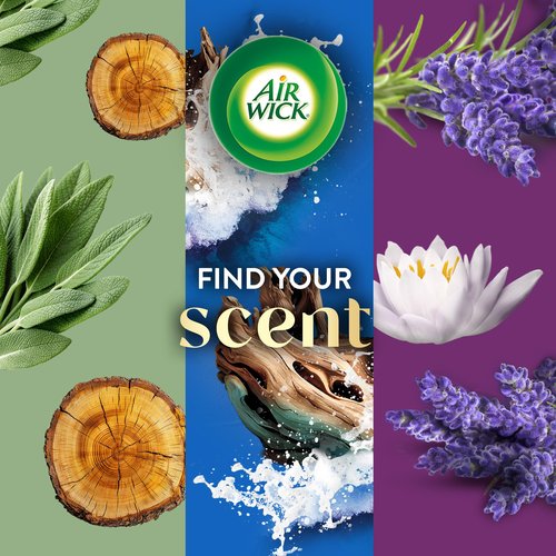 Air Wick Plug in Scented Oil Refill, 5ct, White Sage & Mahogany, Air Freshener, Essential Oils
