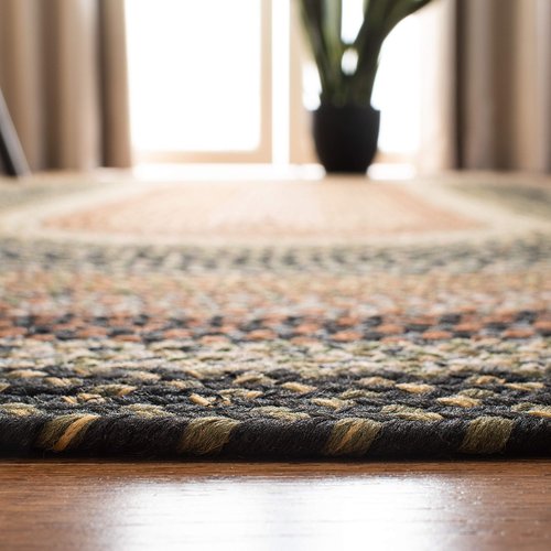 SAFAVIEH Washable Rug Outdoor Braided Collection - 5' Round, Multi, Handmade & Reversible, Non-Shedding & Easy to Clean, Ideal for Patio, Backyard, Mudroom (BRD308A)