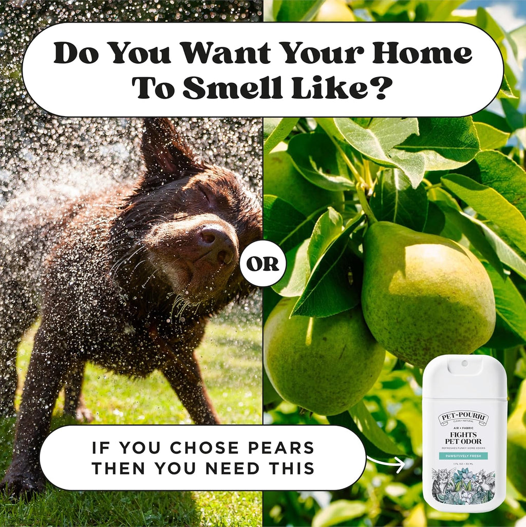 Poo-Pourri Pawsitively Fresh Pocket Deodorizer Spray - Plant-Based Odor Remover for Dogs & Cats | Vet Recommended