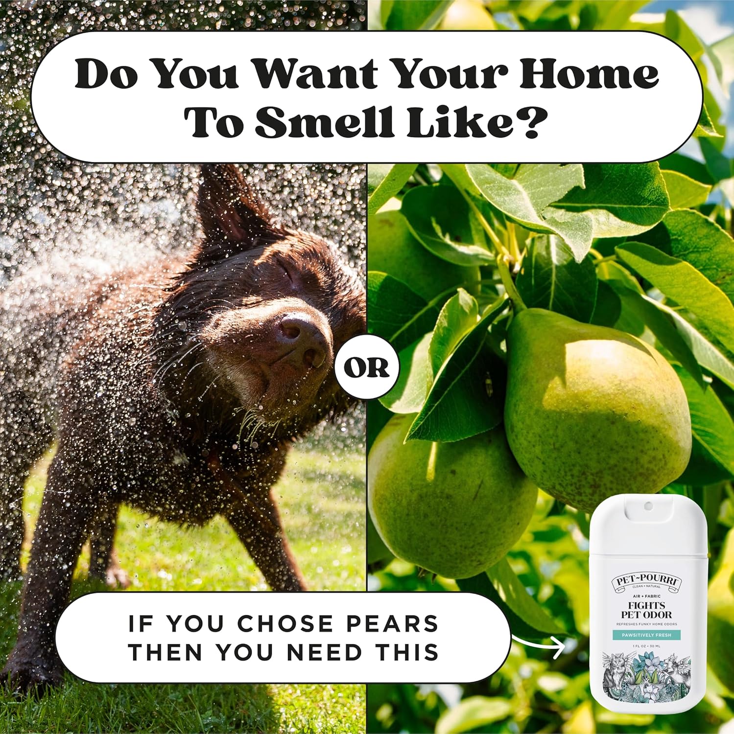 Poo-Pourri Pawsitively Fresh Pocket Deodorizer Spray - Plant-Based Odor Remover for Dogs & Cats | Vet Recommended