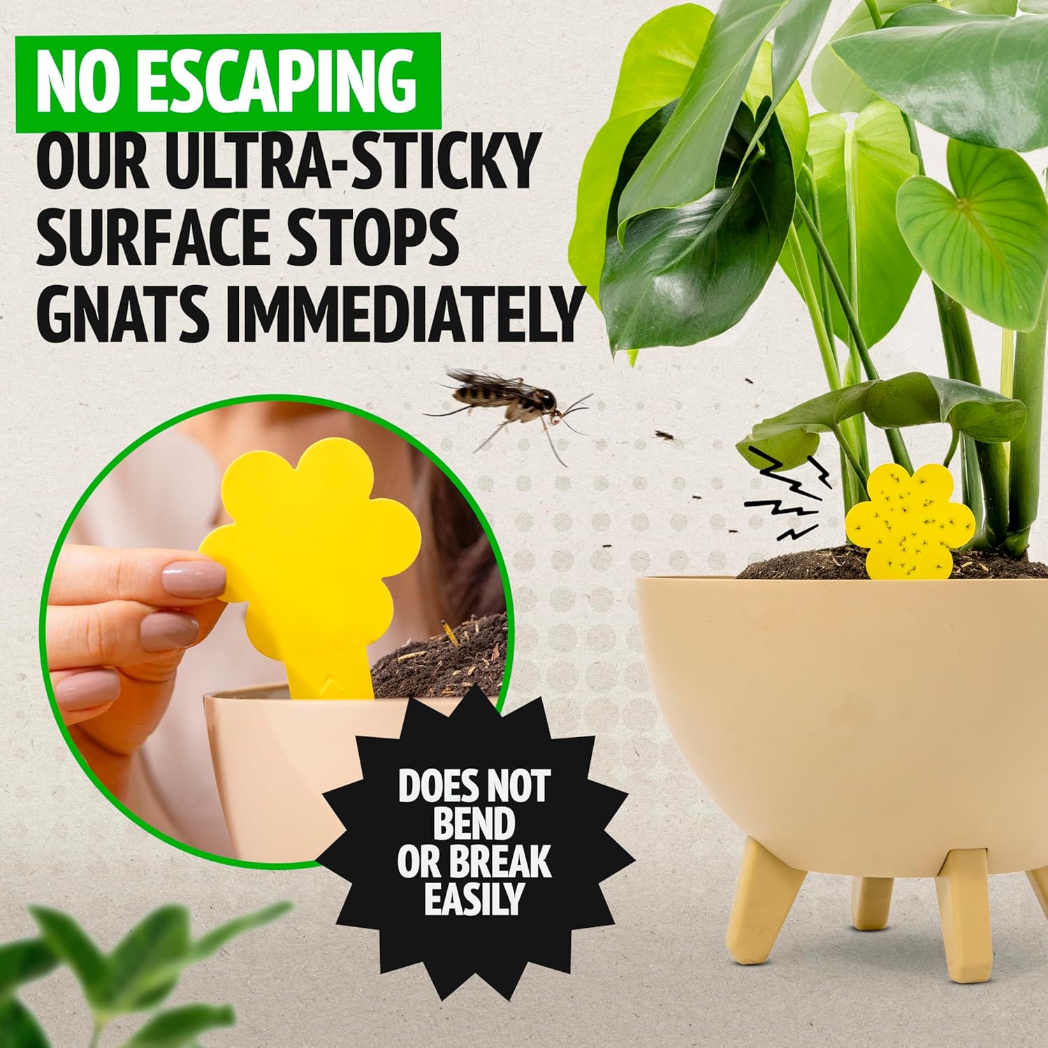 Super Ninja Fungus Gnat Traps - 30 Pack, Highly Effective Gnat Traps for House Indoor, Yellow Sticky Trap for Plants, Non-Toxic & Nature-Friendly, Up to 3 Months