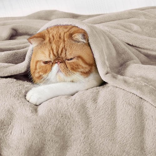 Bedsure GentleSoft Fleece Blanket - Cozy 300GSM Plush Twin Size in Oxford Tan | Perfect for Bed, Sofa, Travel, 60x80 Inches