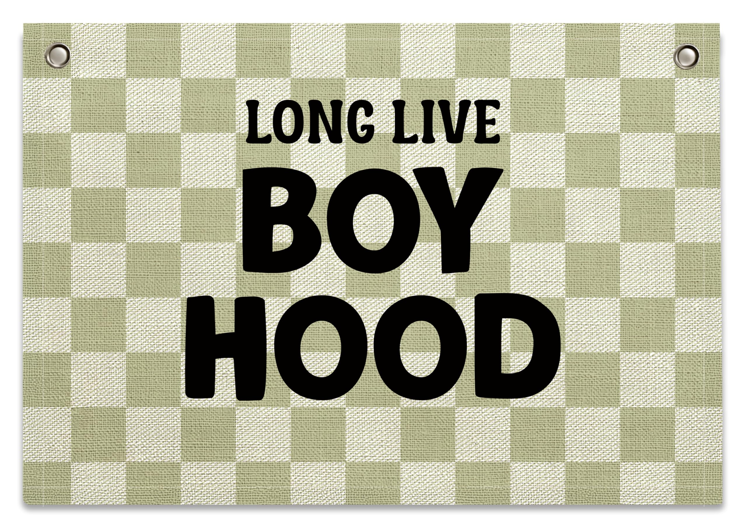 Long Live Boyhood Banner – Boy Room Decor Linen Banner Hanging Flag Retro Pink for Nursery Playroom Wall Art Decor for Kids Bedroom Dorm Toddler Decorations (Green Plaid2)