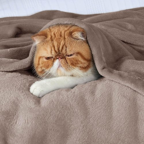 Bedsure GentleSoft Fleece Blanket - Lightweight Plush Cozy Twin Size in Mocha Brown | 60x80 Inches