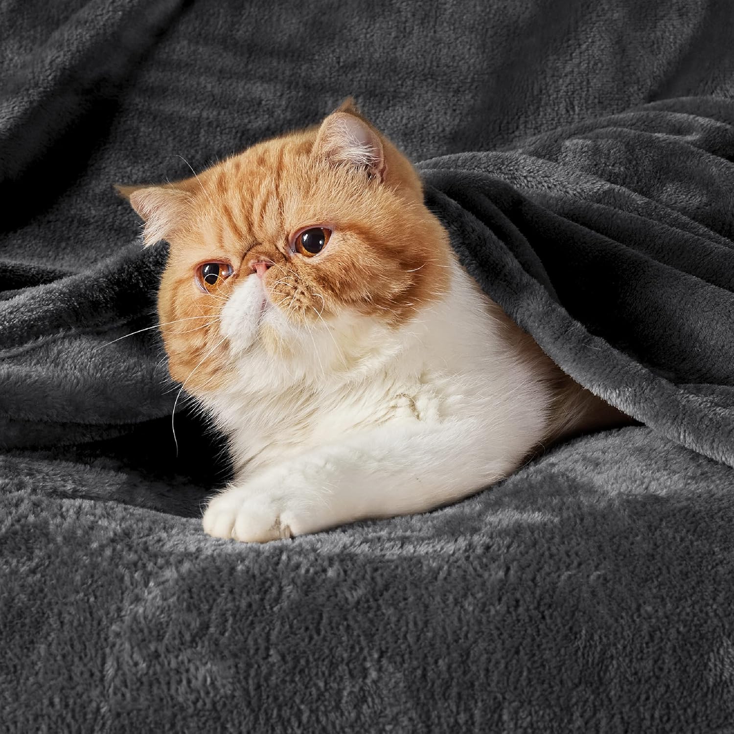 Bedsure GentleSoft Fleece Blanket - Soft, Lightweight, Plush Queen Size in Dark Grey | 90x90 Inches
