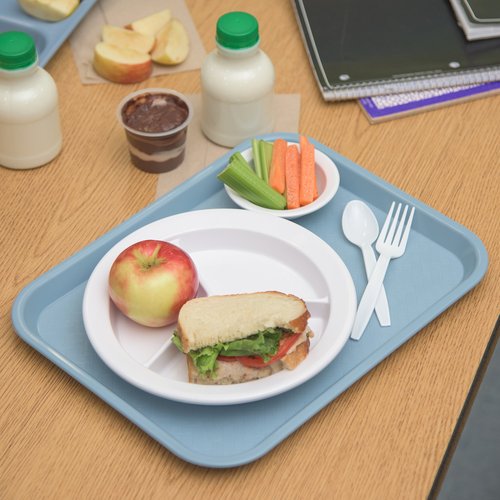 Carlisle FoodService Products Cafe Cafeteria Tray, Meal Tray, Fast Food Tray with Patterned Surface for Cafeterias, Fast Food, and Dining Room, Plastic, 10 x 14 Inches, Slate Blue, (Pack of 24)