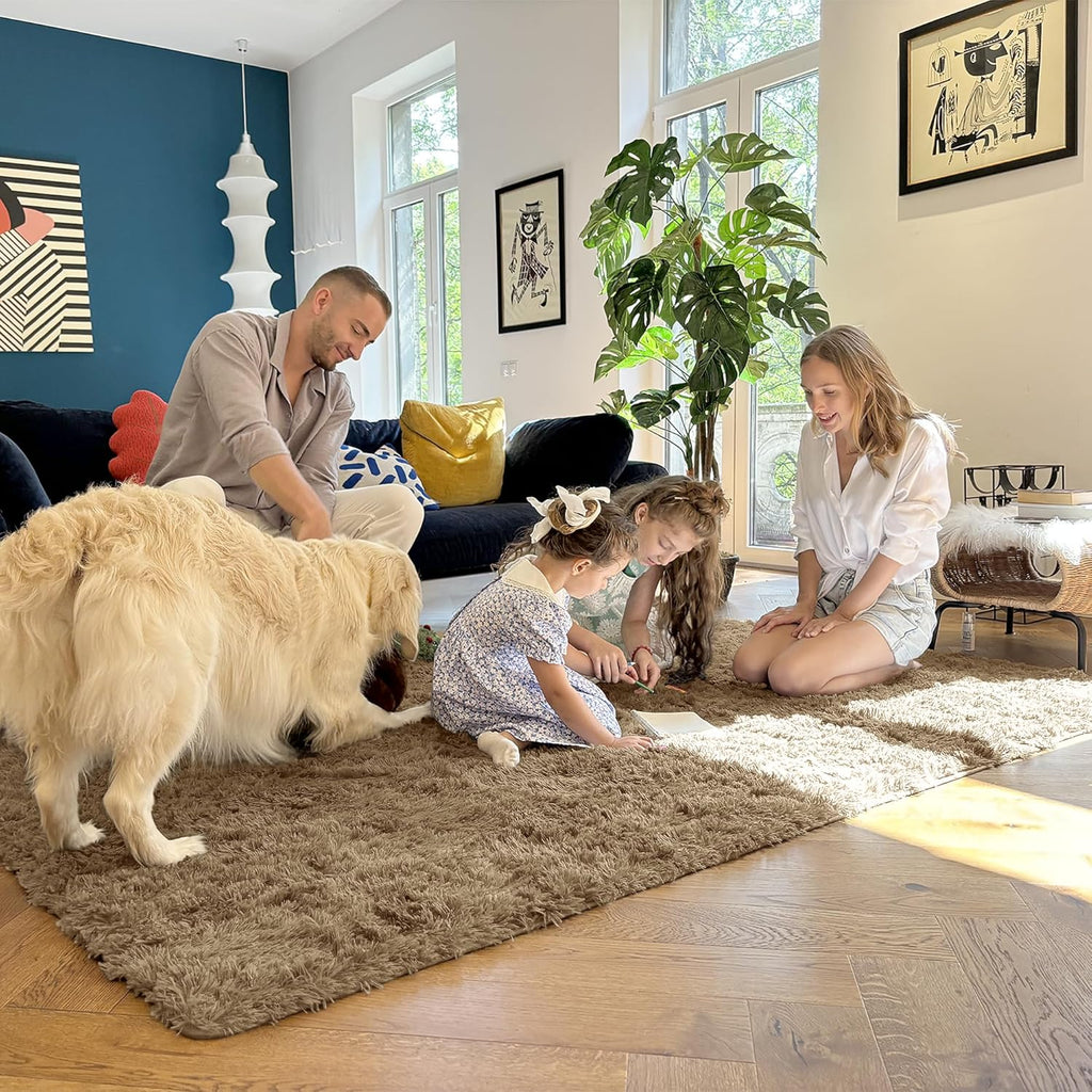 OLANLY Large Area Rug - Soft Fluffy Shaggy Carpet for Living Room & Bedroom | 5x7 Taupe Design