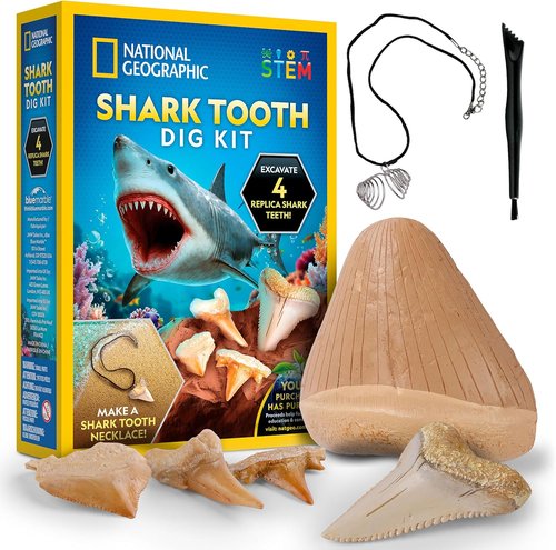 National Geographic Shark Tooth Dig Kit - Excavate Ancient Shark Fossils & Create a Necklace | STEM Activity for Kids Ages 6-8