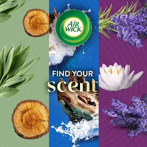 Air Wick Vibrant Plug in Scented Oil Refill, 5ct, Nectarine & Paradise Flower, Air Freshener, Essential Oils