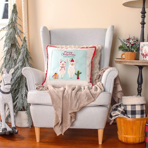 National Tree Company HGTDD94-20835CC Decorative Pillow, Blush