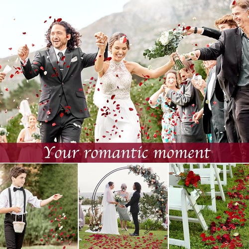 Eslibin 300 PCS Dried Real Red Rose Flower Petals Confetti for Wedding, 2.82oz Preserved Freeze Flower Girl Petals for Romantic Night Wedding Proposal Centerpeice Shower Party Decor