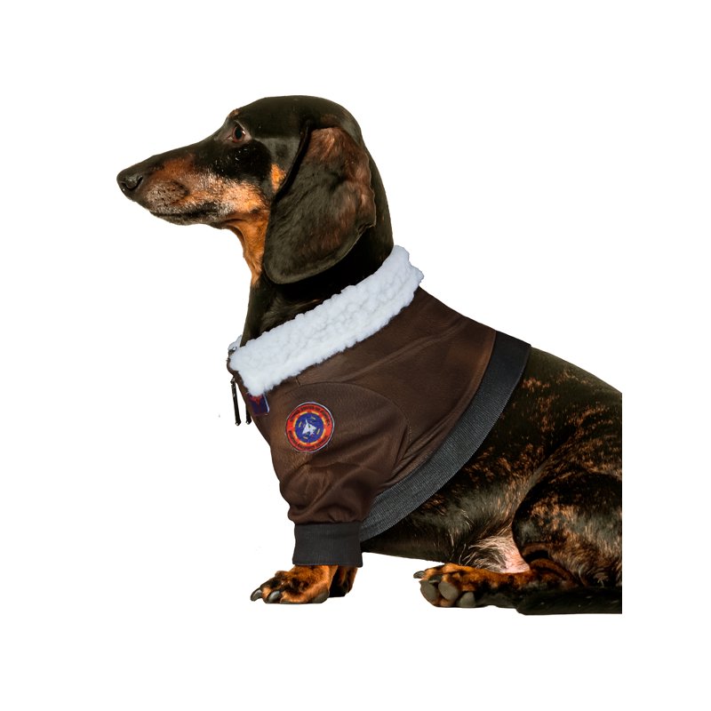 Top Gun Pet Costume for Dogs & Cats - Small 10-12 Inch Bomber Jacket