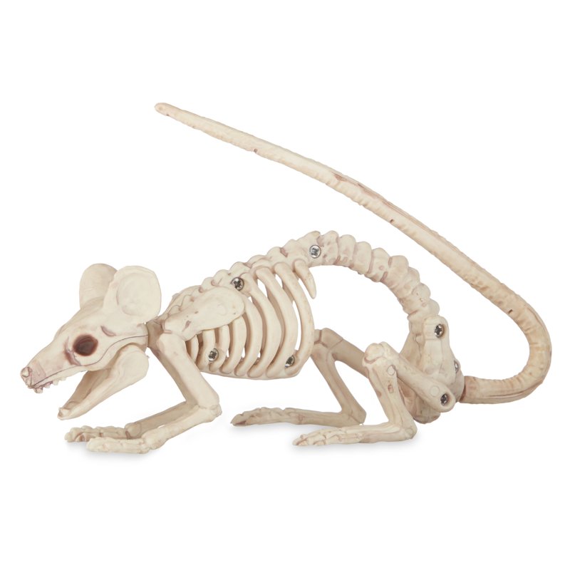 Faux Mouse Skeleton Walking Pose Halloween Decor - Crazybonez Original