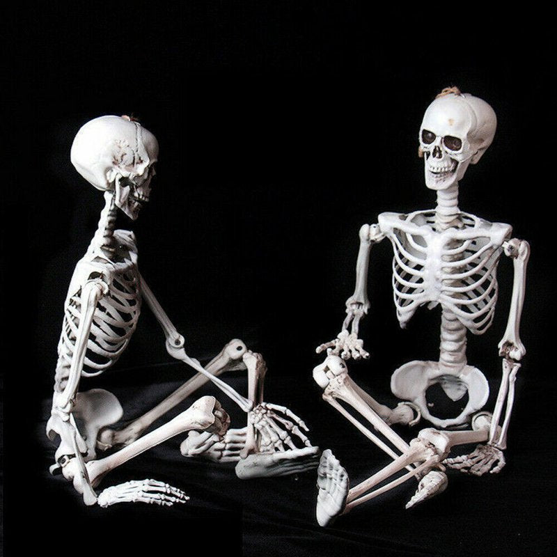 15.7 Inch Human Skeleton Halloween Decoration with Movable Joints - Party Prop