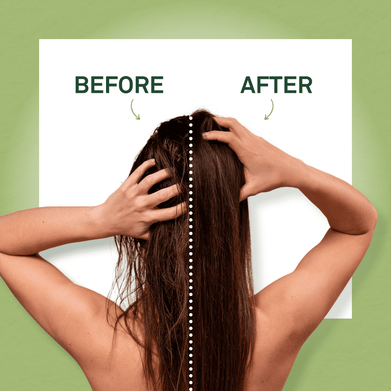 Sulfate Free Conditioner with Avocado Oil - 32 fl oz
