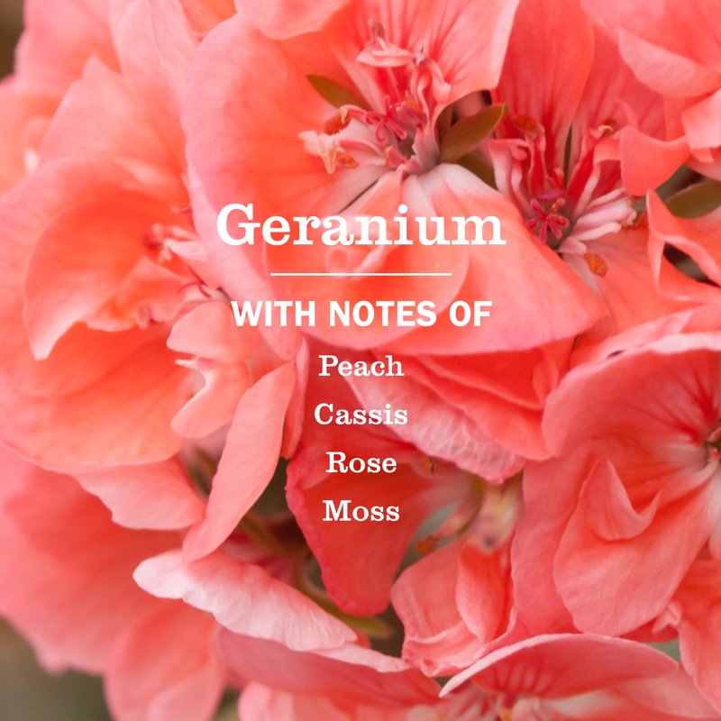 Geranium Hand Soap Refill - 33 Fl Oz, Moisturizing Formula
