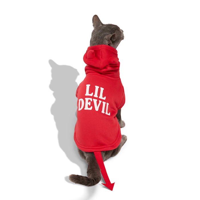 Petco Lil' Devil Pet Costume Hoodie Large - Halloween Dog Cat Costume with Horn & Tail, Easy Pull-On Design (Size L)