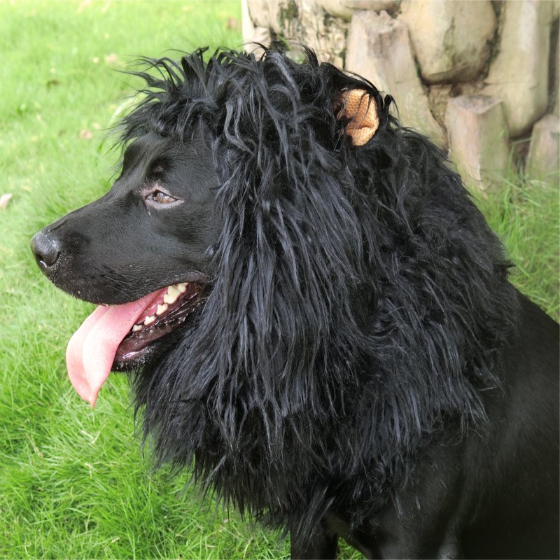 Lion Mane Wig for Dogs - Large Black Pet Costume Accessory, Halloween Fancy Dress (Variation: Black, L)