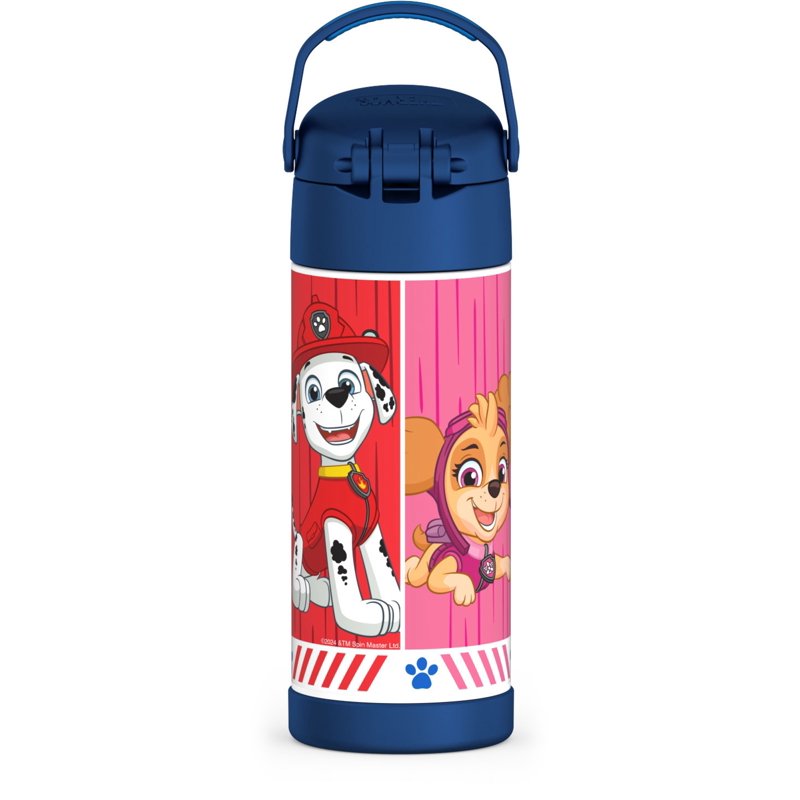 Kids Stainless Steel Insulated Water Bottle with Straw - Paw Patrol, 4 Pack