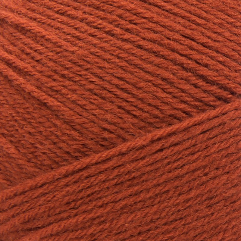 Lion Brand Pound of Love Pumpkin Spice Worsted Yarn - 16 oz, 1020 Yards, Medium Weight, Variation of THIS listing