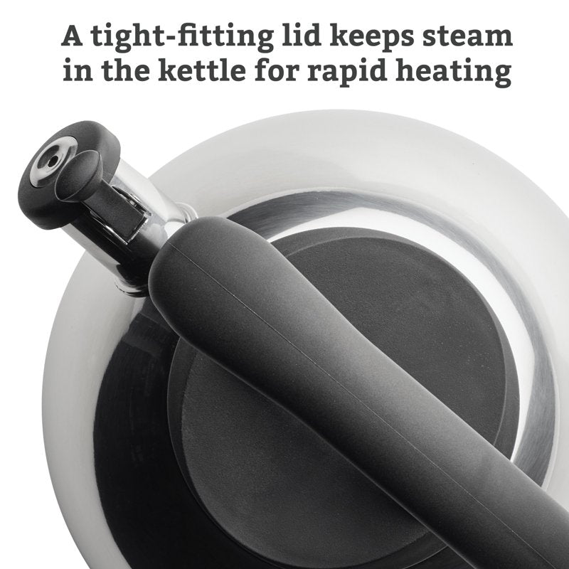 Stainless Steel Whistling Tea Kettle - 2.3 Quart, Silver