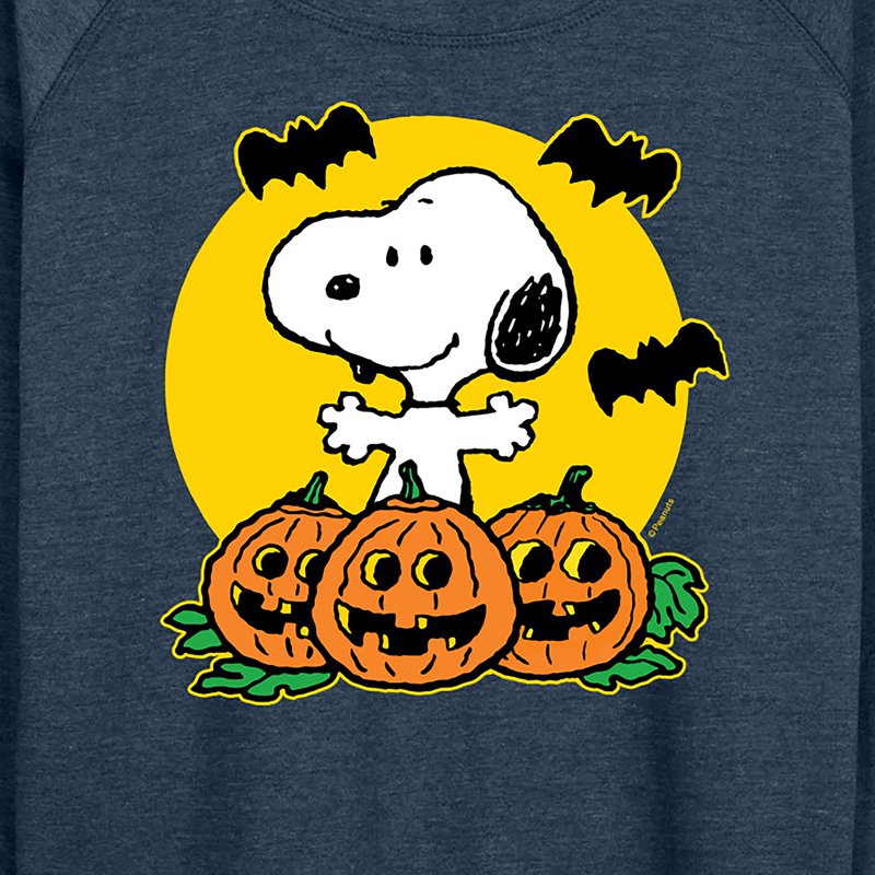 Heather Indigo Peanuts Snoopy Pumpkin Patch Lightweight French Terry Long Sleeve Shirt XL