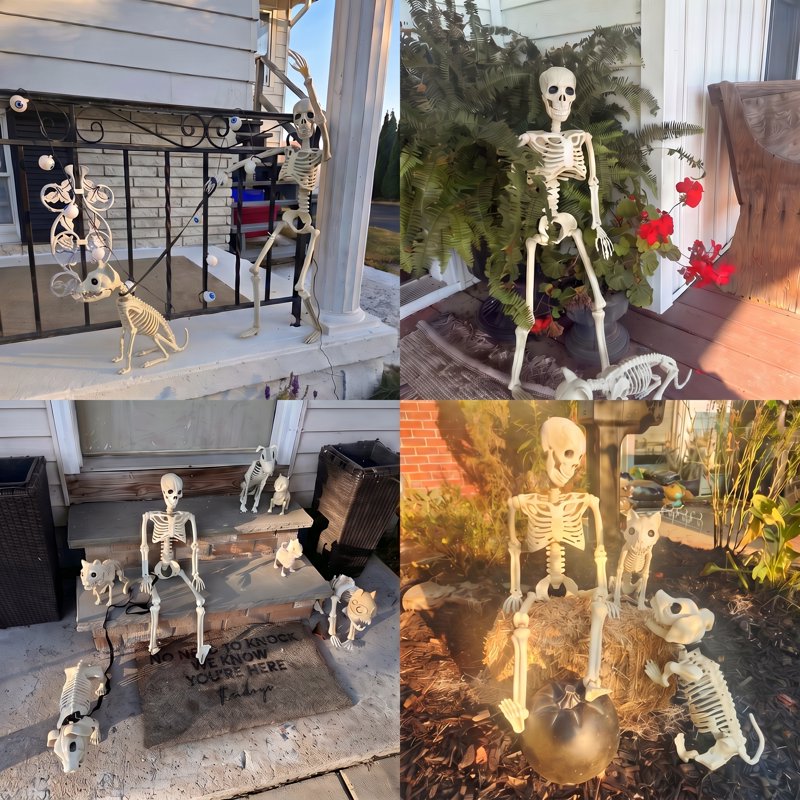 Halloween Human and Cat Skeleton Set - 90cm Posable Full Body Decor