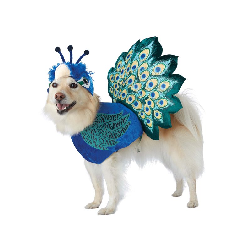 Pet Costume - Pretty as a Peacock for Dogs - Size L - Colorful Feathers