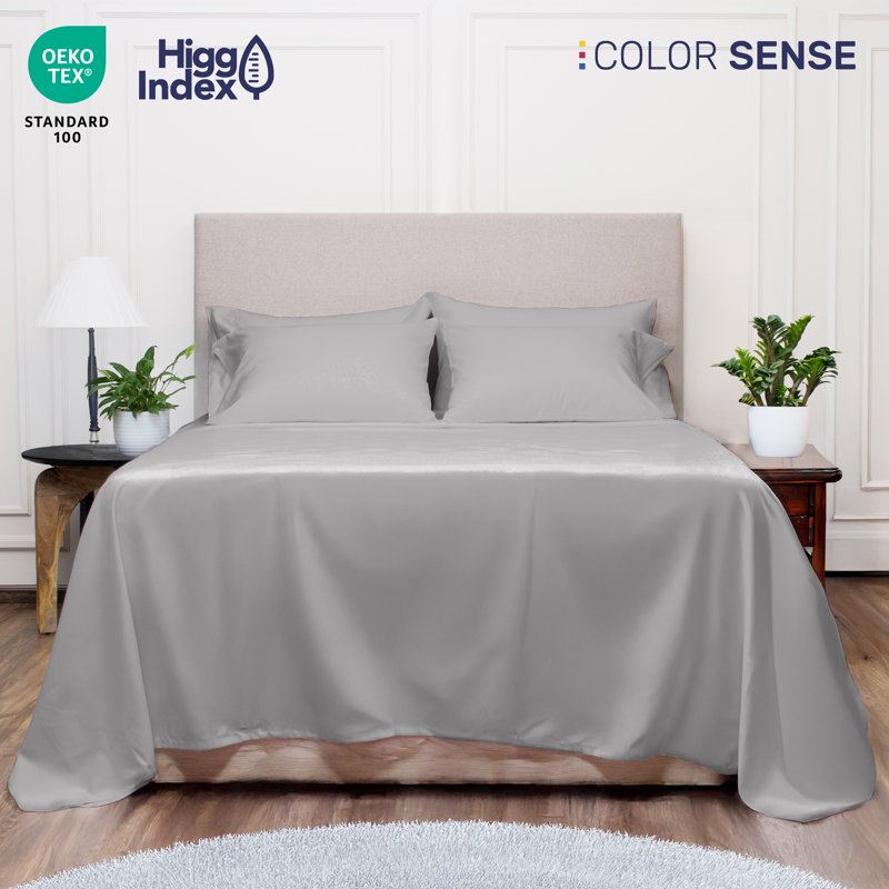 Queen Cotton Rich Bed Sheet Set - 800 Thread Count Silver Color Sense
