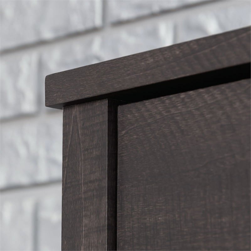 Two-Door Storage Cabinet with Adjustable Shelves - Blade Walnut
