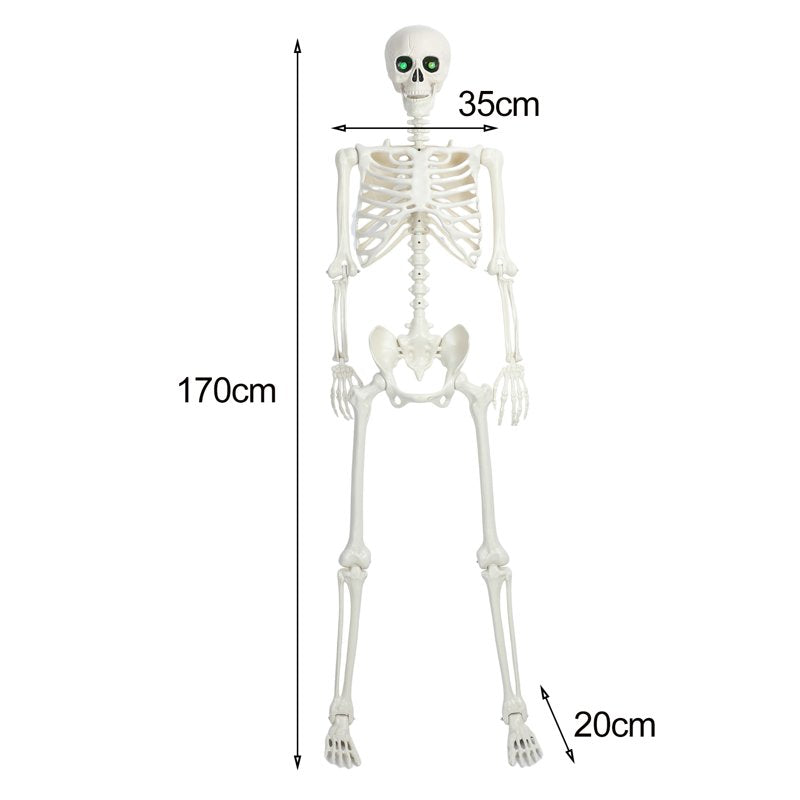 Halloween Skeleton Decor 5.4ft Light-up Full Body Skeleton with Movable Joints - Variation A
